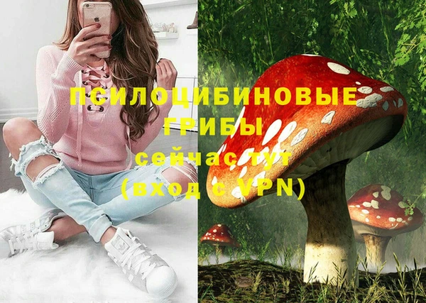 тгк Мурманск