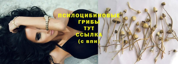 ГАЛЛЮЦИНОГЕННЫЕ ГРИБЫ Наволоки
