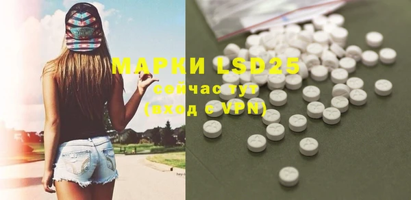 ГАЛЛЮЦИНОГЕННЫЕ ГРИБЫ Наволоки