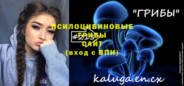 метадон Рославль