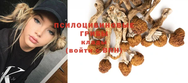 ГАЛЛЮЦИНОГЕННЫЕ ГРИБЫ Наволоки