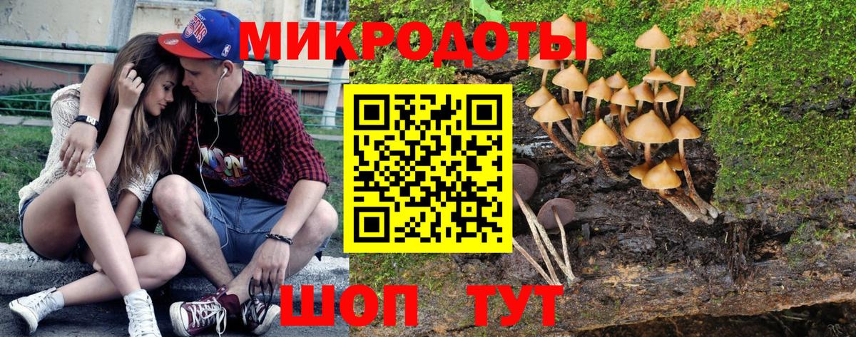 Александров  Псилоцибиновые грибы прущие грибы  Вход с VPN  Галлюциногенные грибы MAGIC MUSHROOMS 