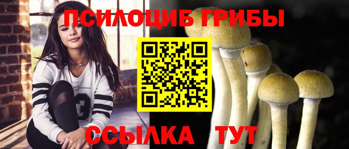 Псилоцибиновые грибы прущие грибы Александров